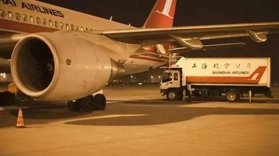 _旅行坐飞机打一字谜_选择乘飞机外出旅游的人的数量