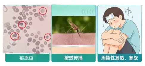 这种传染病在我国已经消除，但境外旅行要记得做好防护！