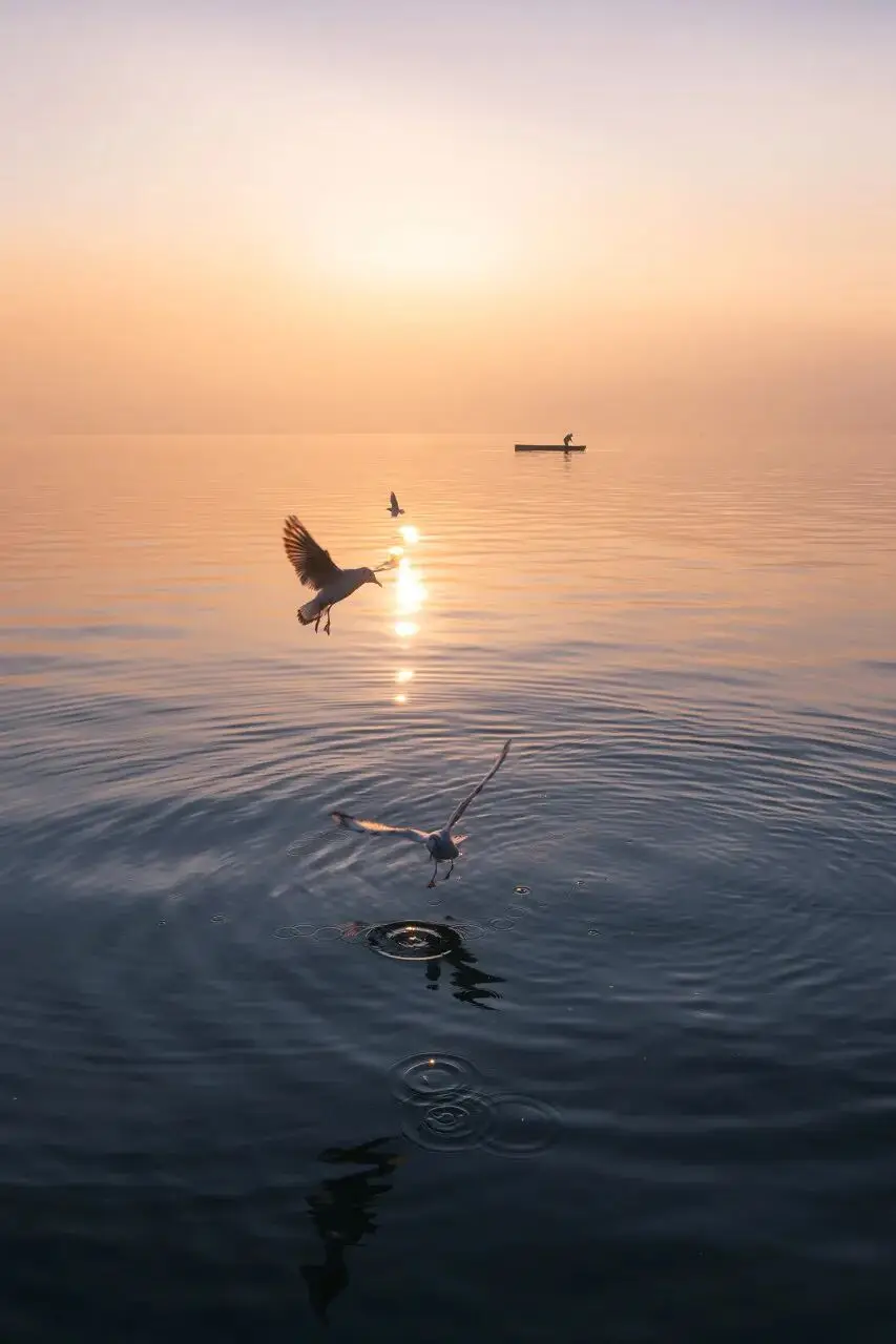_春节避寒胜地，平均18℃，被《国家地理》评为西南最美的小城_春节避寒胜地，平均18℃，被《国家地理》评为西南最美的小城