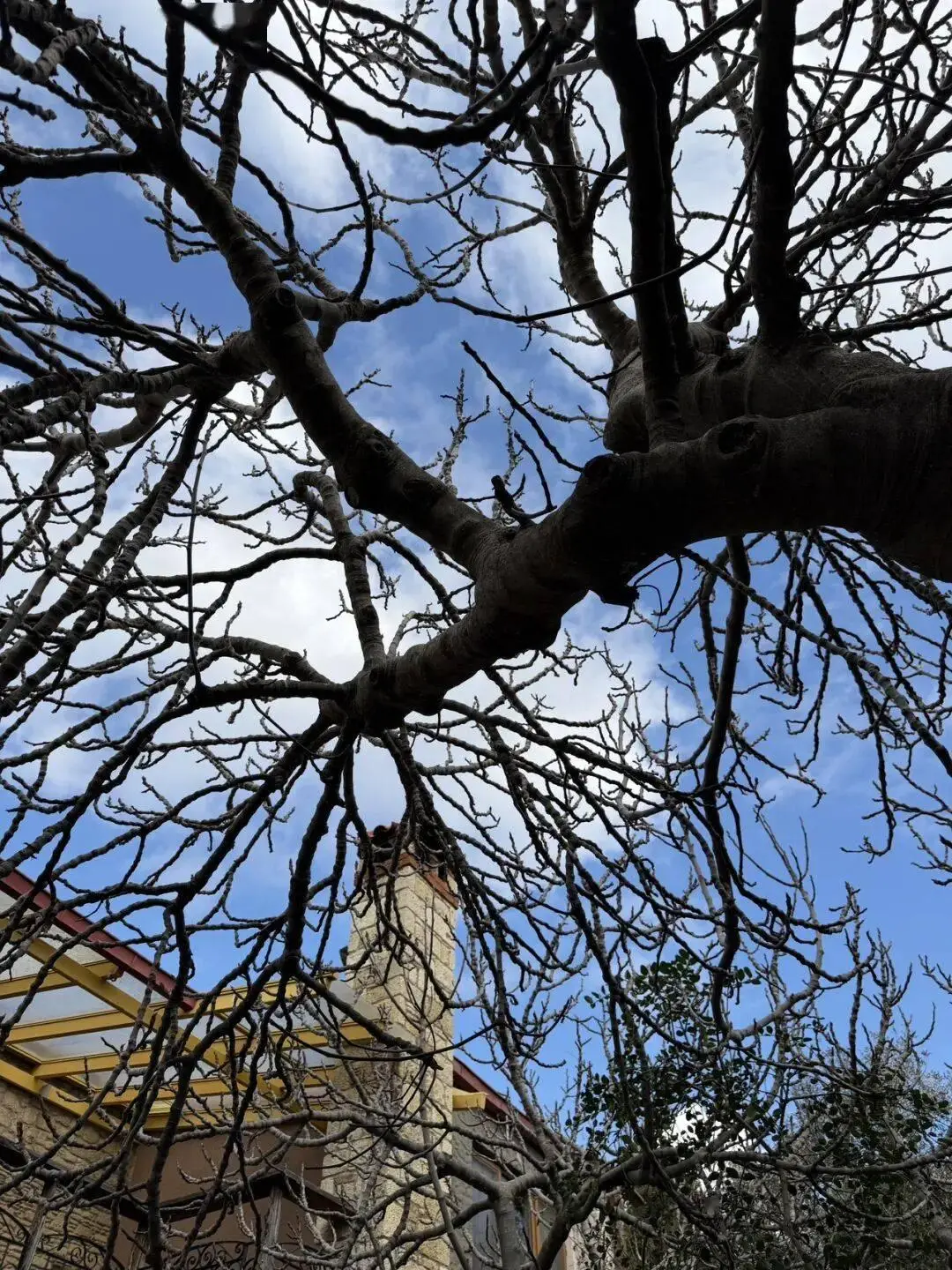 _土耳其自驾游最美公路_土耳其自驾游