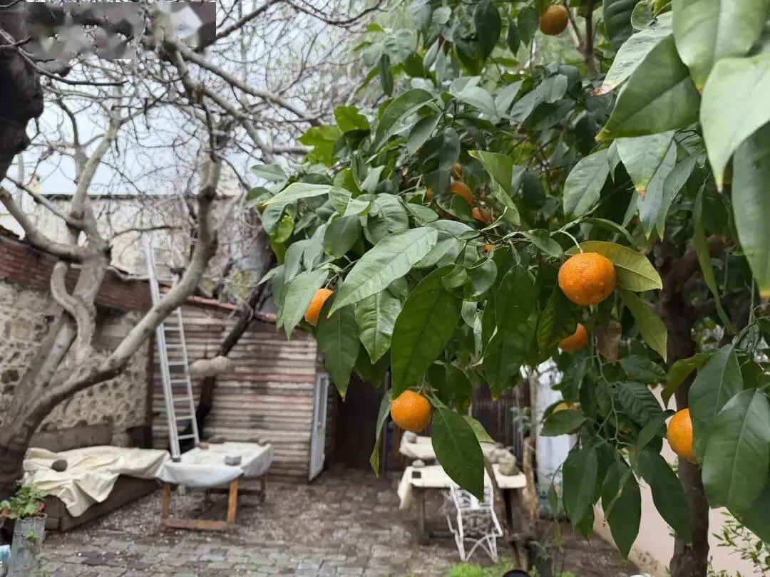土耳其自驾游最美公路__土耳其自驾游