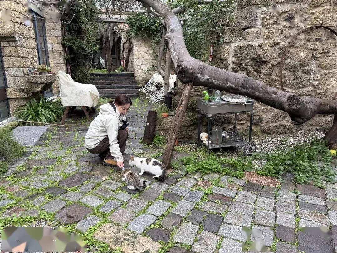 土耳其自驾游_土耳其自驾游最美公路_