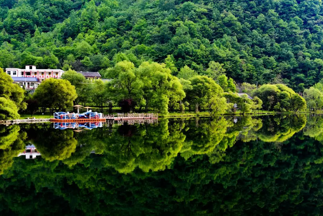 _【游记 】 陇上江南的诗意栖居——阳坝梅园沟游记_【游记 】 陇上江南的诗意栖居——阳坝梅园沟游记