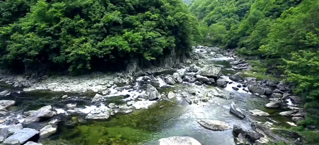 【游记 】 陇上江南的诗意栖居——阳坝梅园沟游记_【游记 】 陇上江南的诗意栖居——阳坝梅园沟游记_