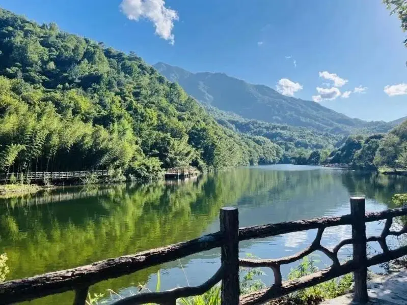 【游记 】 陇上江南的诗意栖居——阳坝梅园沟游记_【游记 】 陇上江南的诗意栖居——阳坝梅园沟游记_