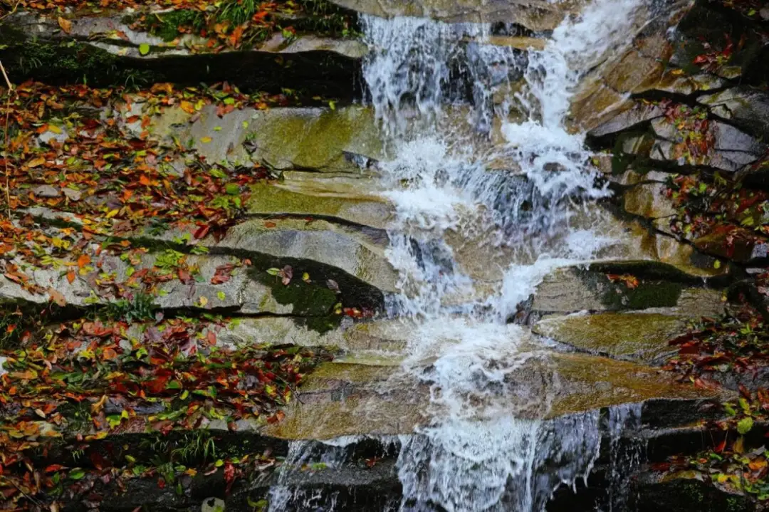 _【游记 】 陇上江南的诗意栖居——阳坝梅园沟游记_【游记 】 陇上江南的诗意栖居——阳坝梅园沟游记