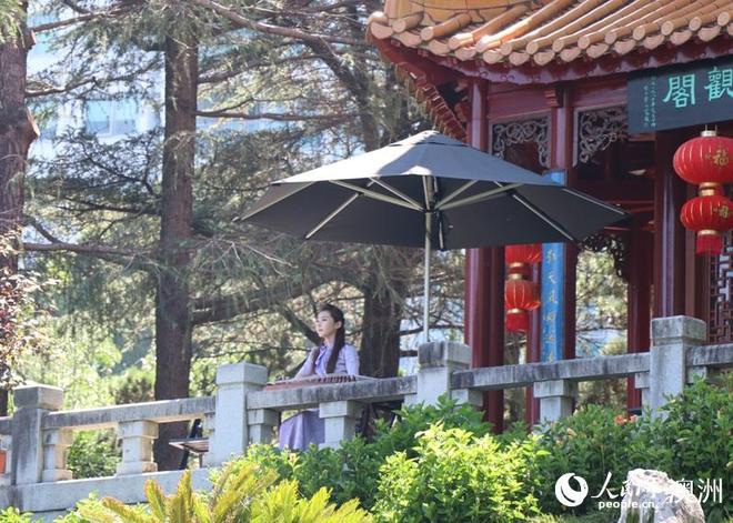 悉尼旅游视频_悉尼春节活动_