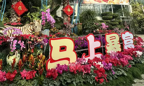 萌兽世界2哪个兽厉害__大连森林动物二期门票