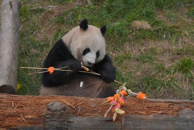 和乐春节和乐元宵的征文__和乐春节