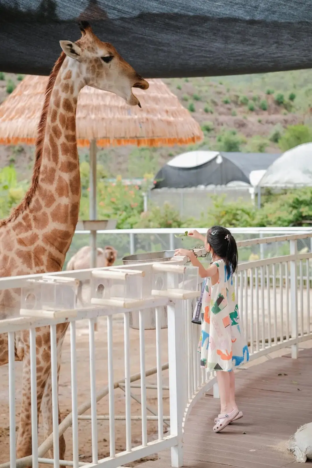 肇庆旅游攻略3日游_肇庆攻略旅游攻略_