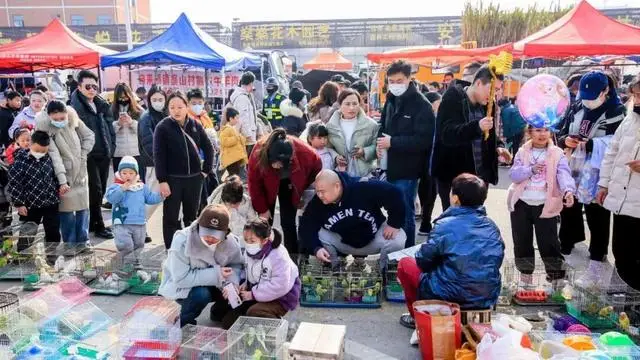 _跨省赶大集，火了_跨省赶大集，火了