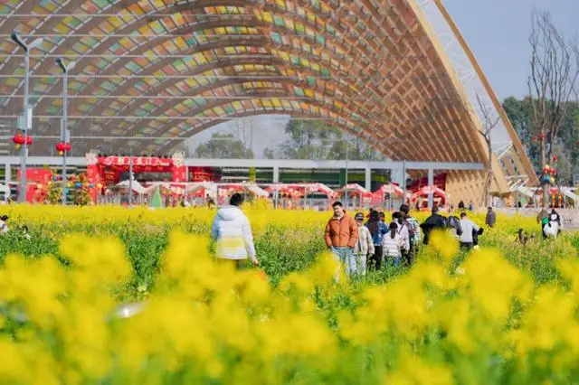 收藏！春节游新津，-键解锁吃住行游购娱全体验