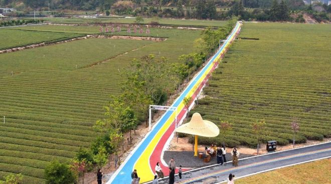 樱花相伴_樱花新春主题大更新下载_