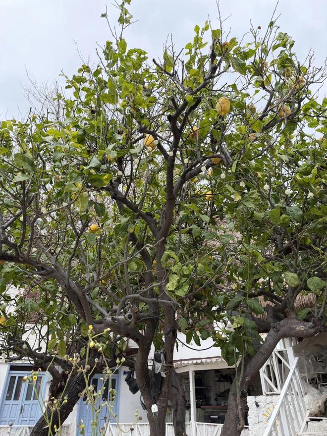 土耳其海边_土耳其海边度假胜地_