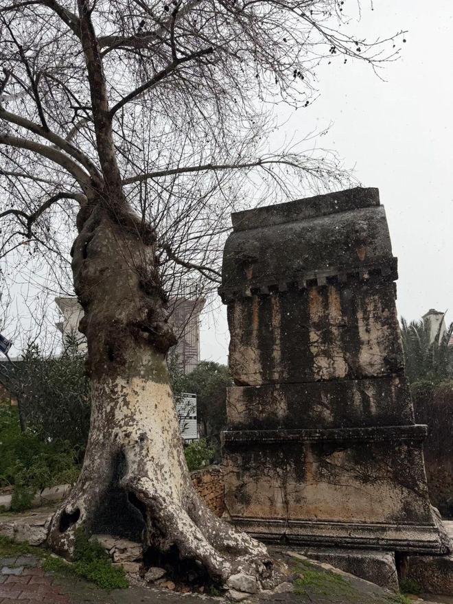 土耳其海边度假胜地_土耳其海边_