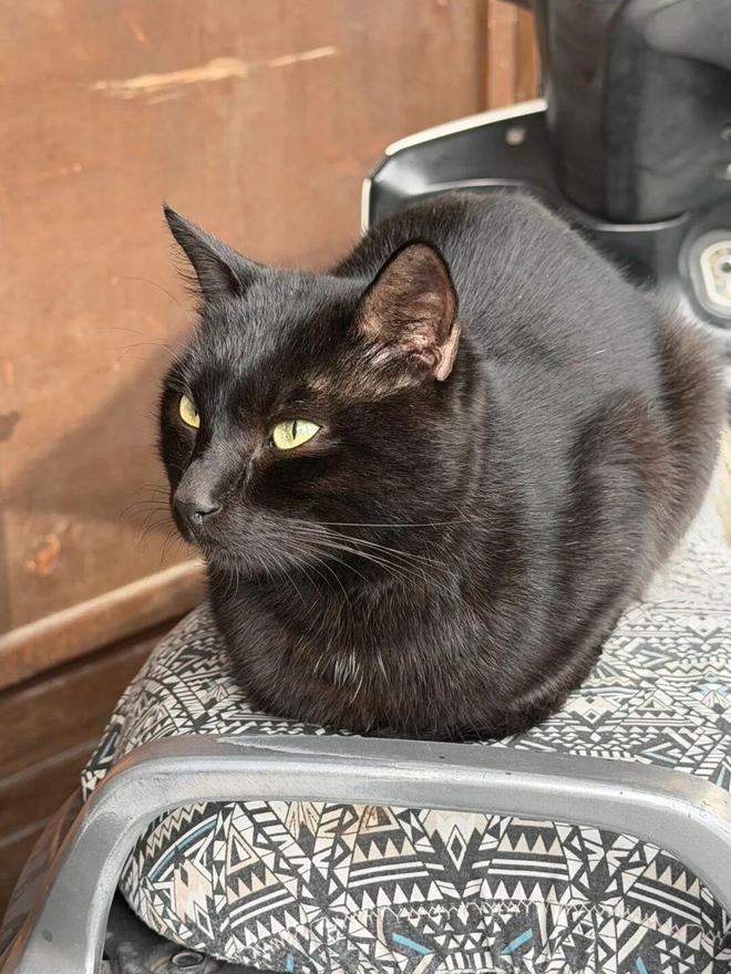 土耳其海边度假胜地__土耳其海边