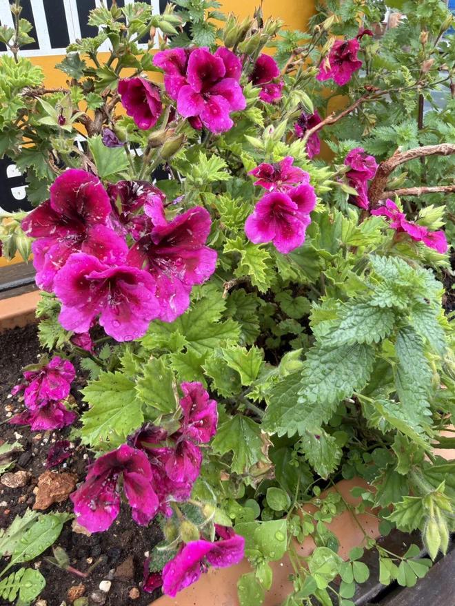 _土耳其海边度假胜地_土耳其海边