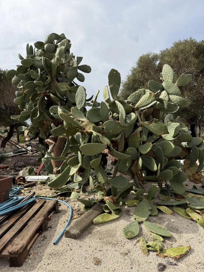_土耳其最美的海岸自驾游_土耳其海边公路