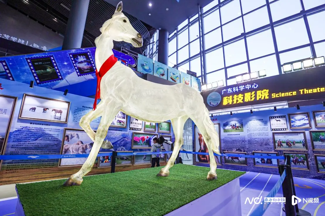 春节不打烊！广州这个科普游园会，把“马到功成”玩明白了_春节不打烊！广州这个科普游园会，把“马到功成”玩明白了_