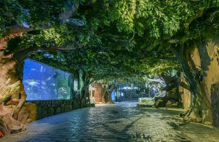 成都熊猫基地离海洋馆有多远_海洋公园熊猫馆_