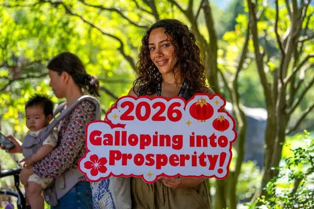 京东寄个人快递便宜吗_江天长孙无垢_