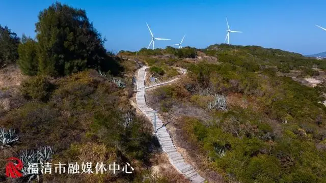 沙渔涌赶海_沙埔镇海滩_