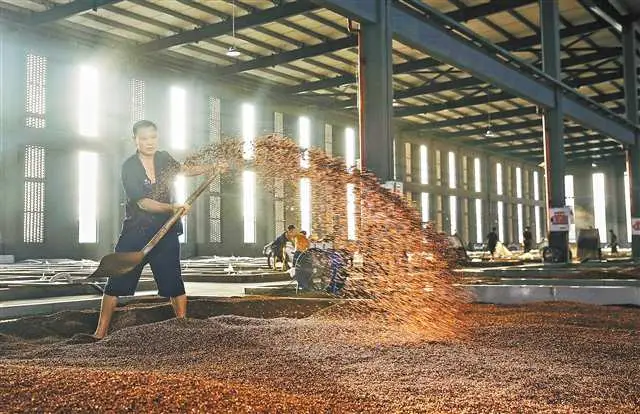 重庆非遗文化介绍__重庆非遗保护情况