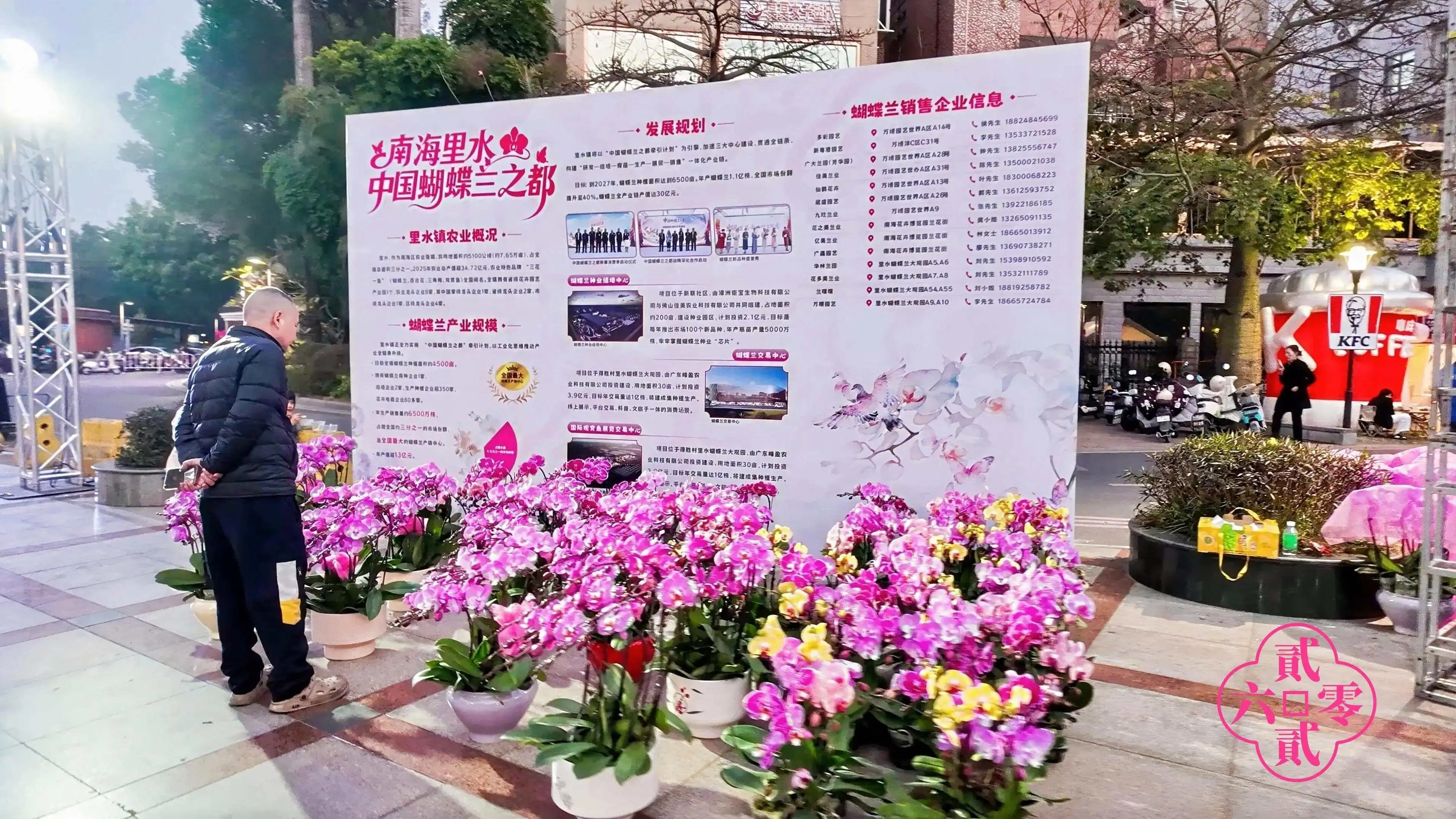 _八仙过海闹新春衡水_八仙过海闹新春之我是特种兵