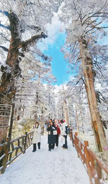 一步一景 一景一味 汇成新时代四川的万千气象_一步一景 一景一味 汇成新时代四川的万千气象_