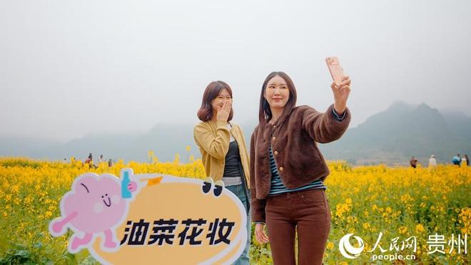 _贵州浪漫花海在哪里_贵州浪漫的地方