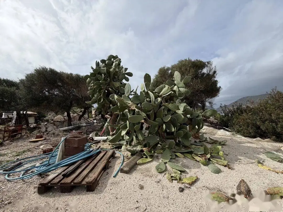 _土耳其海边小镇_土耳其地中海最美小镇