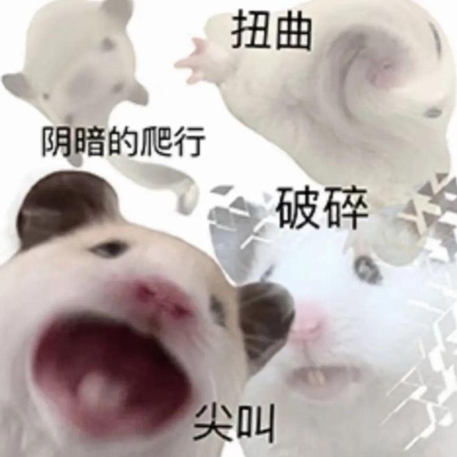 重返狼群不说话歌曲视频__《重返狼群》金句