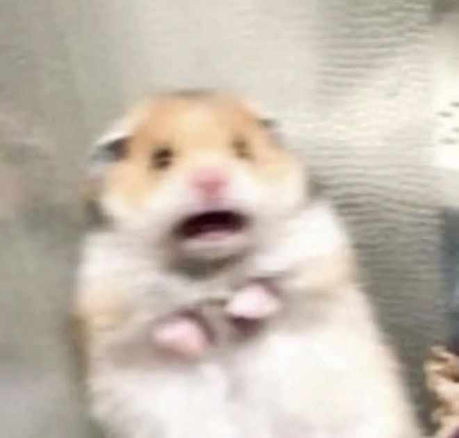 _《重返狼群》金句_重返狼群不说话歌曲视频