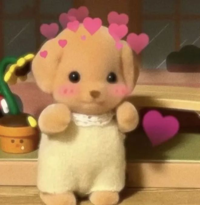 《重返狼群》金句__重返狼群不说话歌曲视频