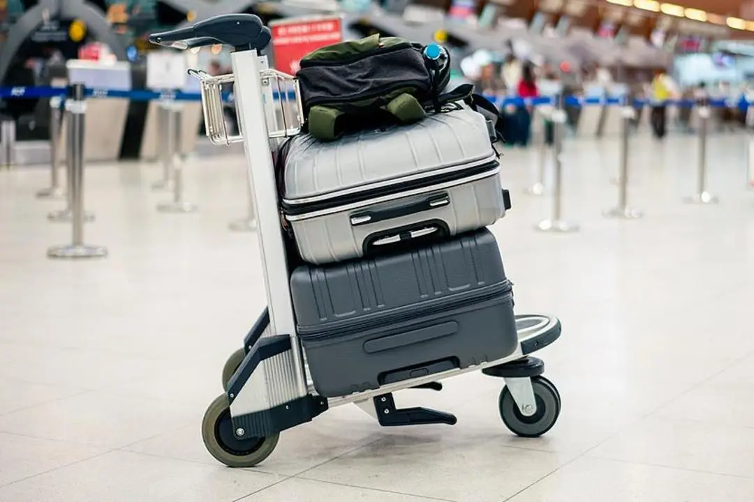 _春节返程机票价格走势_春节返程机票怎么买便宜