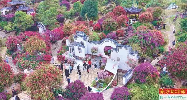 春节假期广州民宿入住率达98%以上