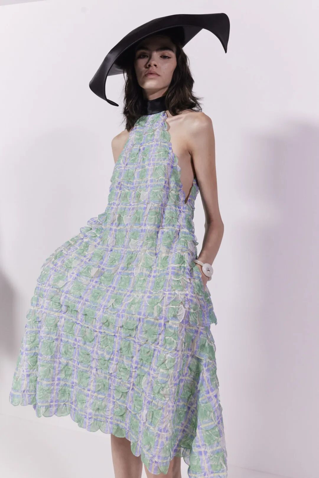 杨紫是资本圈还是京圈_时尚是个圈英语作文_