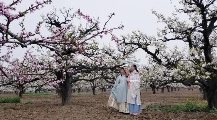 临泉文旅“活”与“火”的秘诀何在？__临泉文旅“活”与“火”的秘诀何在？