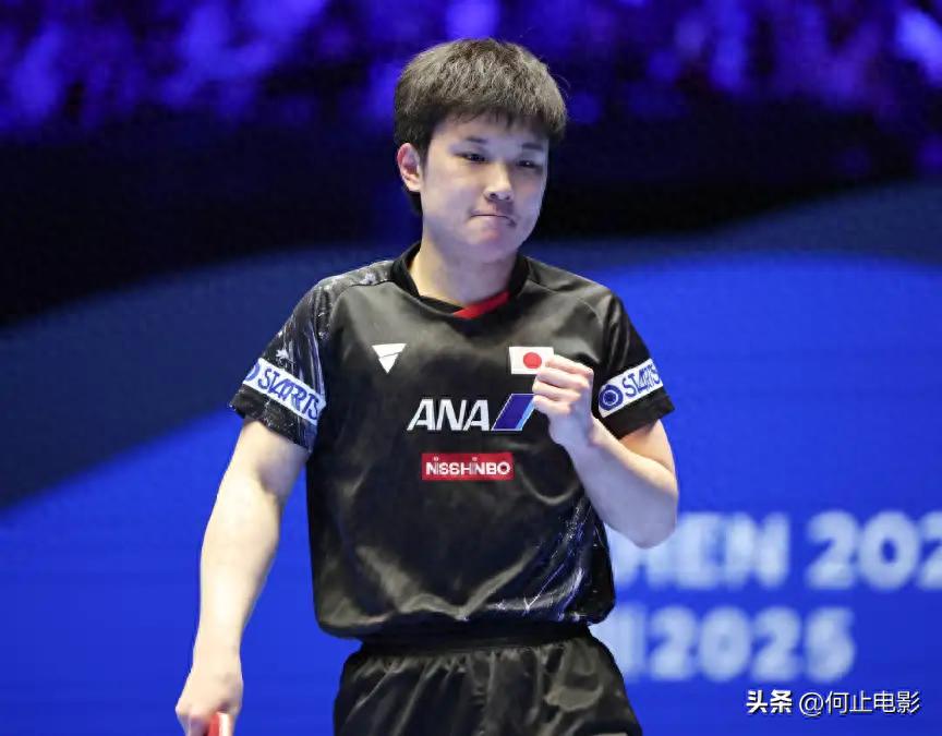 善恶有报！这次被央媒点名的张本智和，终为自己的“荒唐”买了单