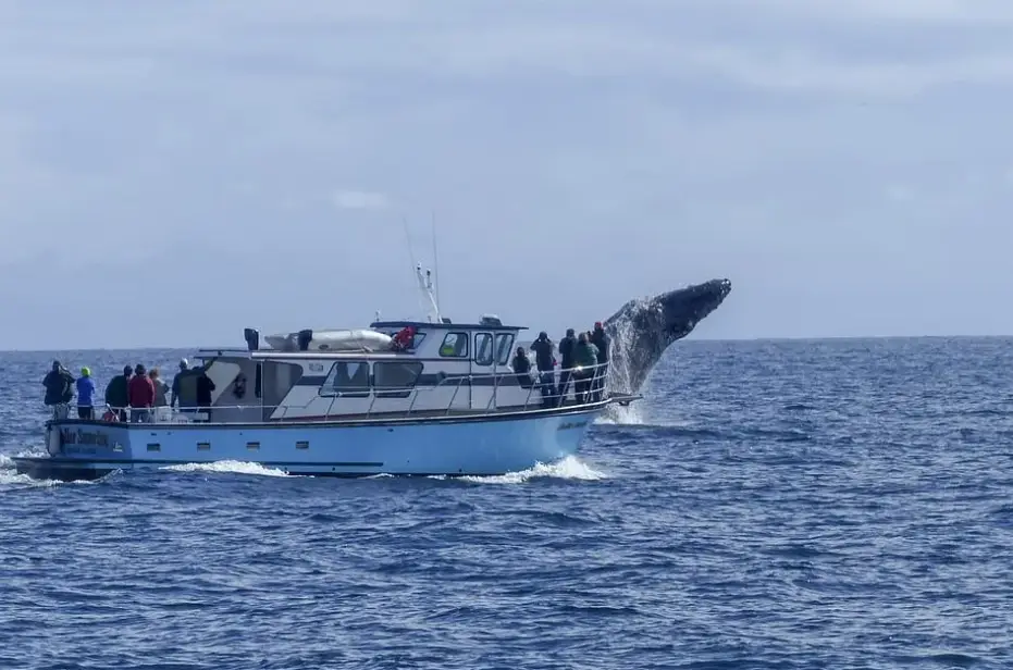 _澳海梦想城怎么样_澳海梦想城