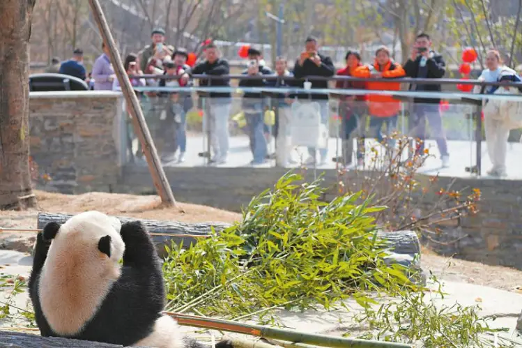 _一步一景 一景一味 汇成新时代四川的万千气象_一步一景 一景一味 汇成新时代四川的万千气象