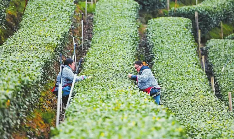 _一步一景 一景一味 汇成新时代四川的万千气象_一步一景 一景一味 汇成新时代四川的万千气象