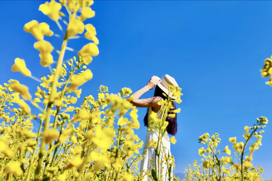 _凉山州文化旅游产业促进会_凉山文旅建设