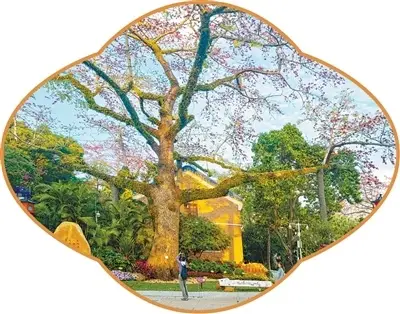 _绿色低碳公路_绿色低碳旅游