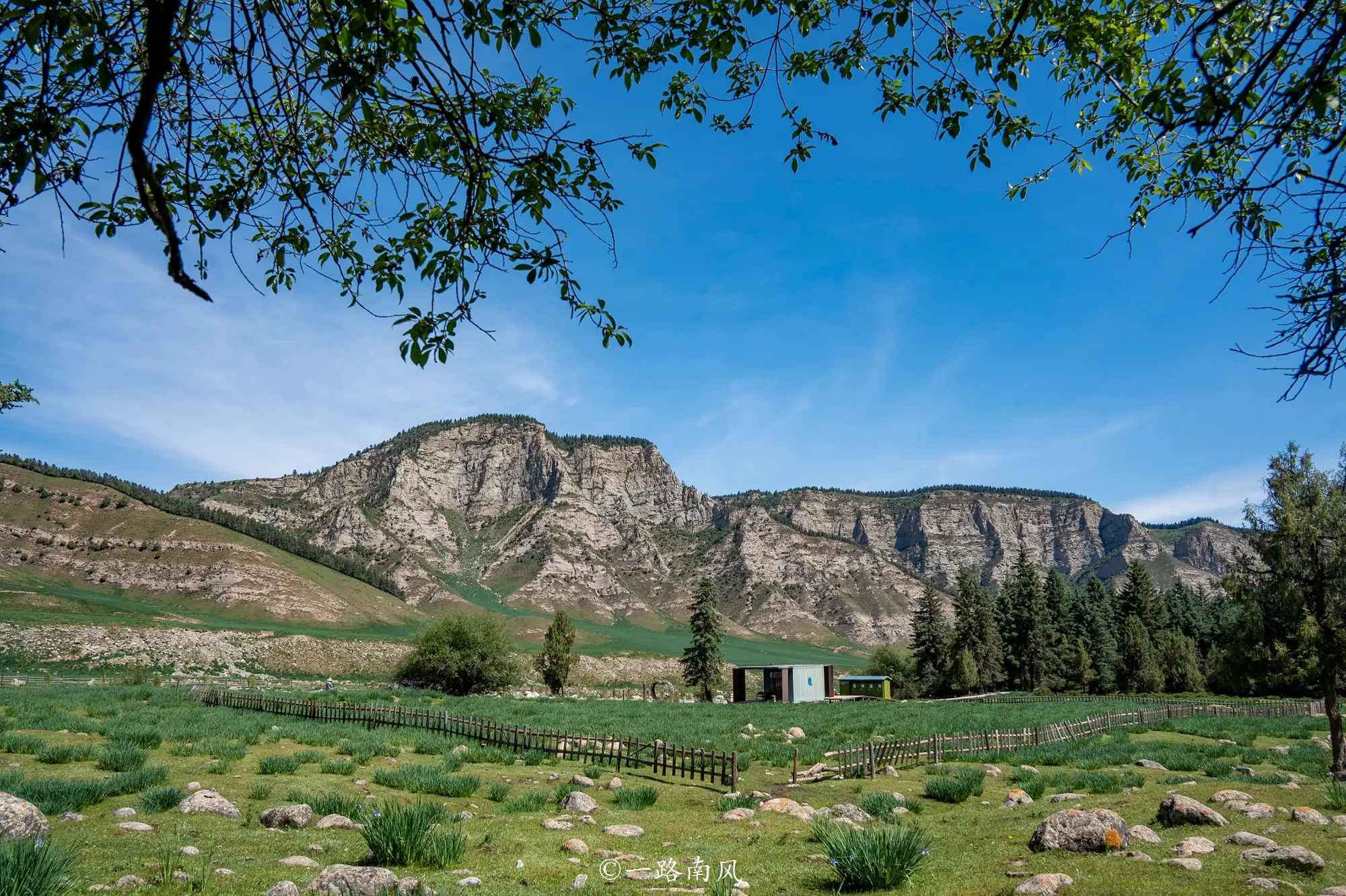 _居住在瑞士的藏人_中缅人字型经济走廊