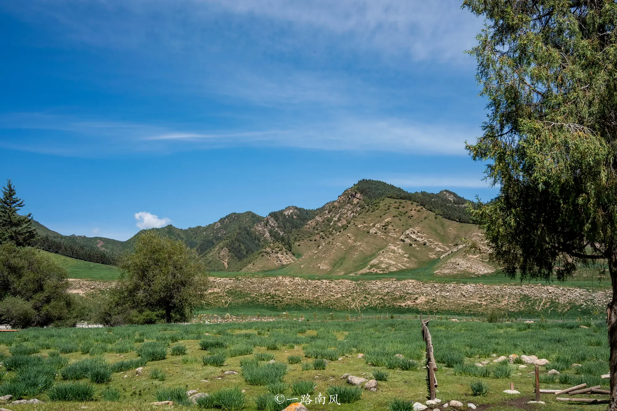 _居住在瑞士的藏人_中缅人字型经济走廊
