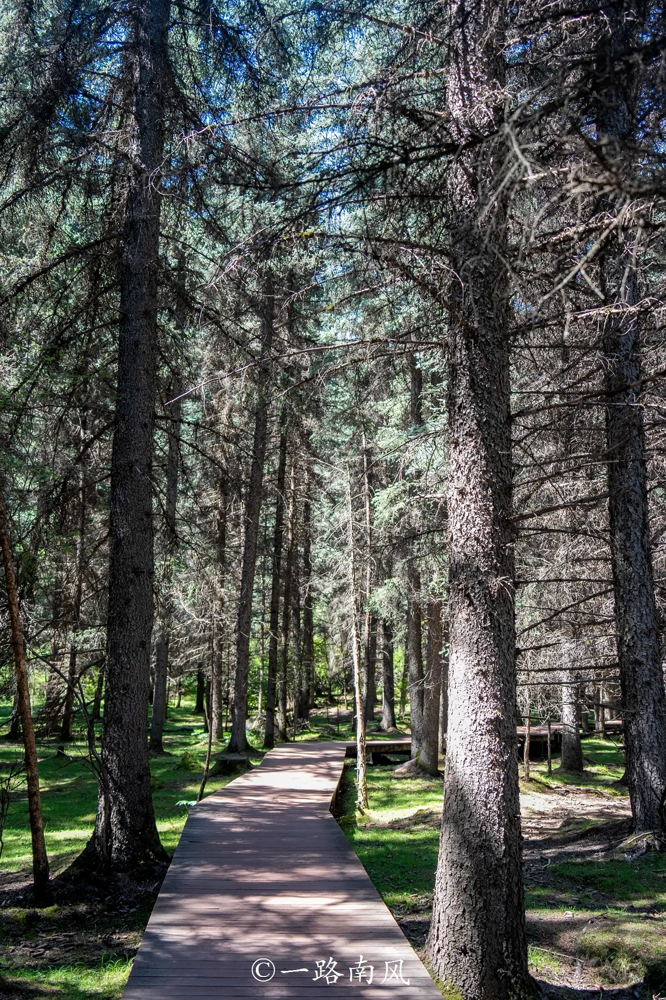 中缅人字型经济走廊_居住在瑞士的藏人_