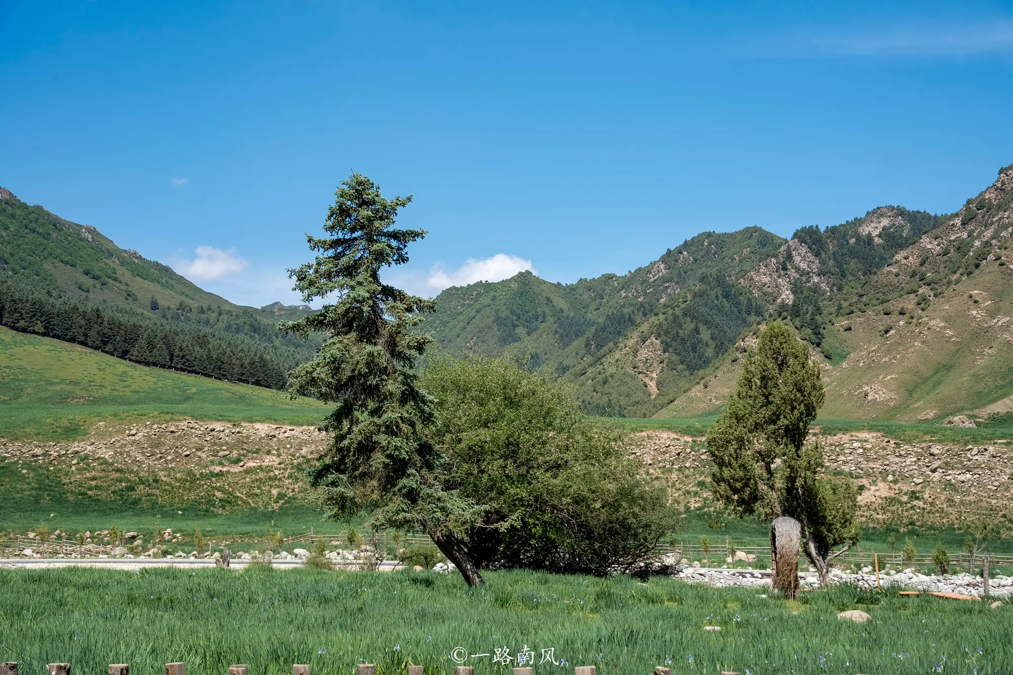 _中缅人字型经济走廊_居住在瑞士的藏人