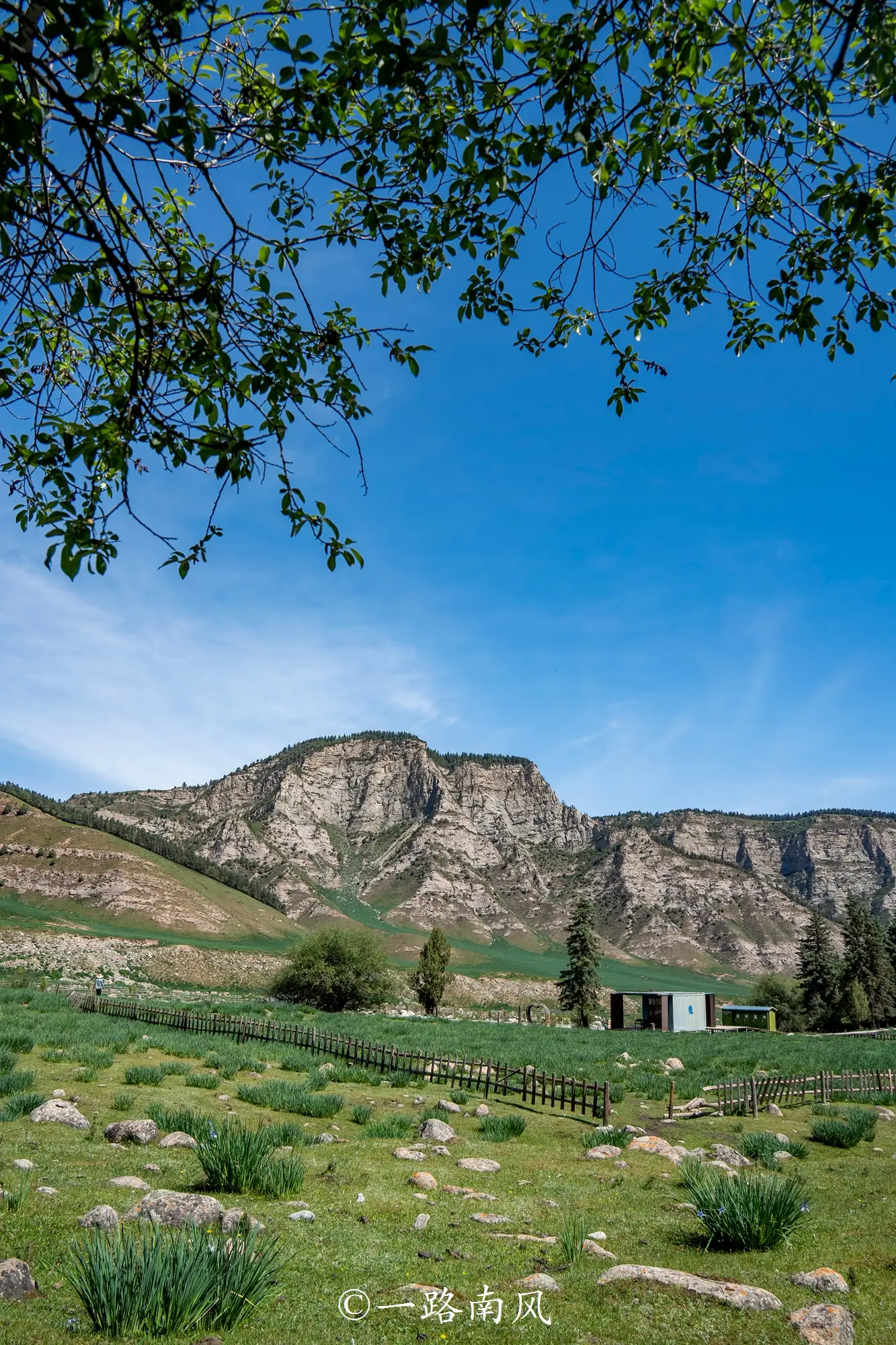 居住在瑞士的藏人__中缅人字型经济走廊