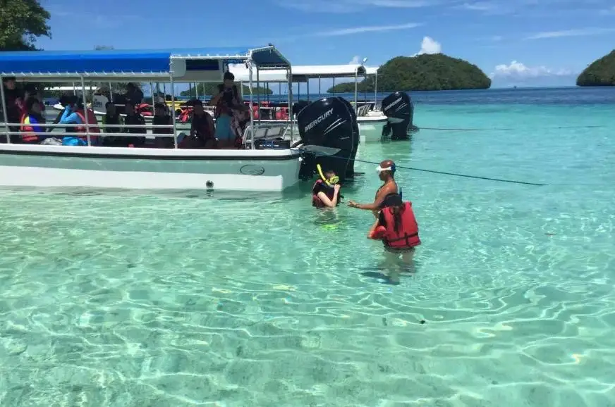 中国航班政策_中国航班限制_